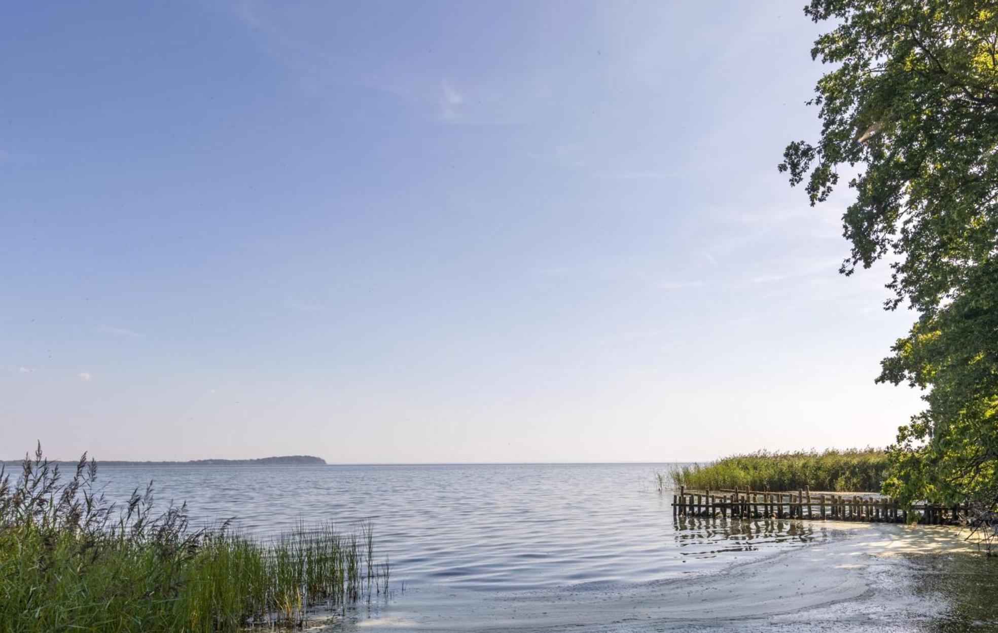 Ferienwohnung Hafenliebe, Villa Vilmblick Mit Meerblick ラウターバッハ エクステリア 写真